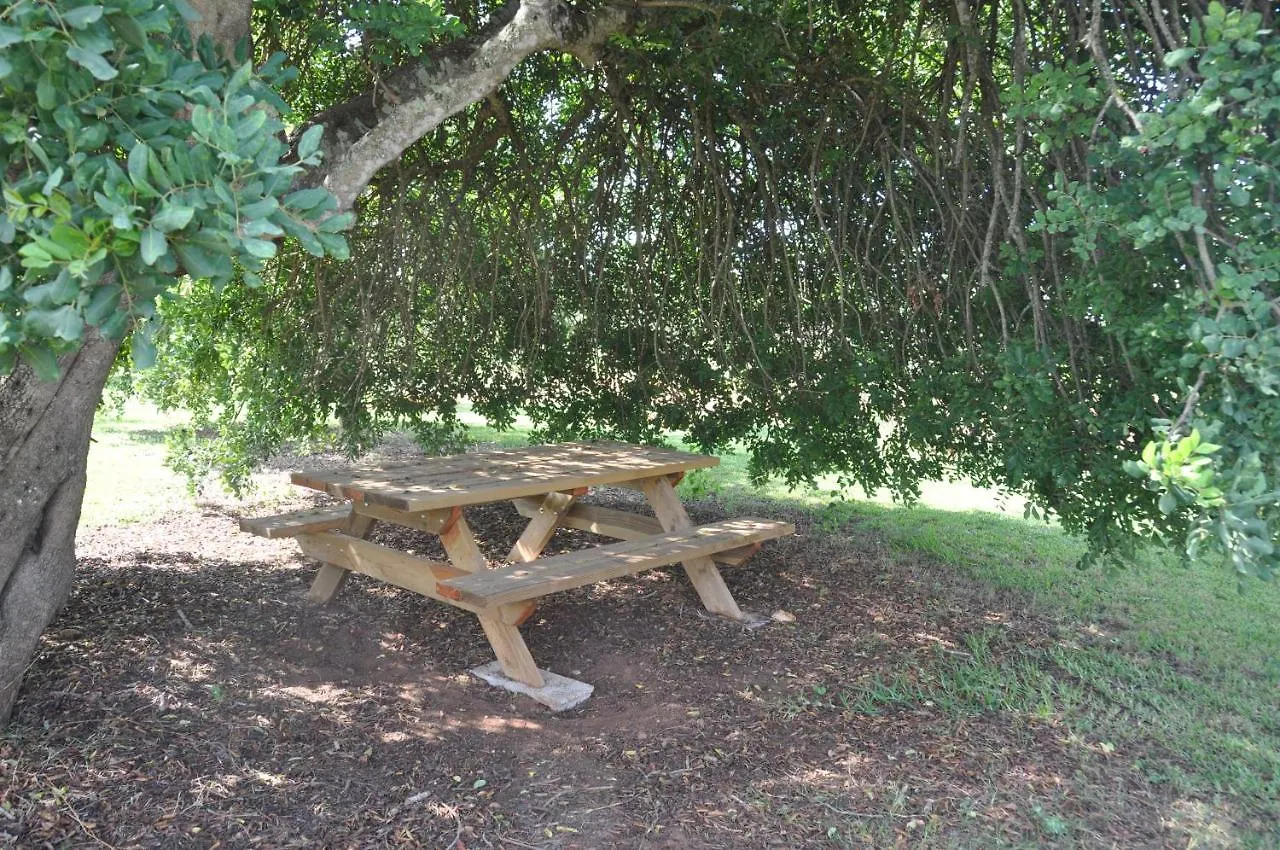 Can Porretí Agroturisme Lloret de Vistalegre España